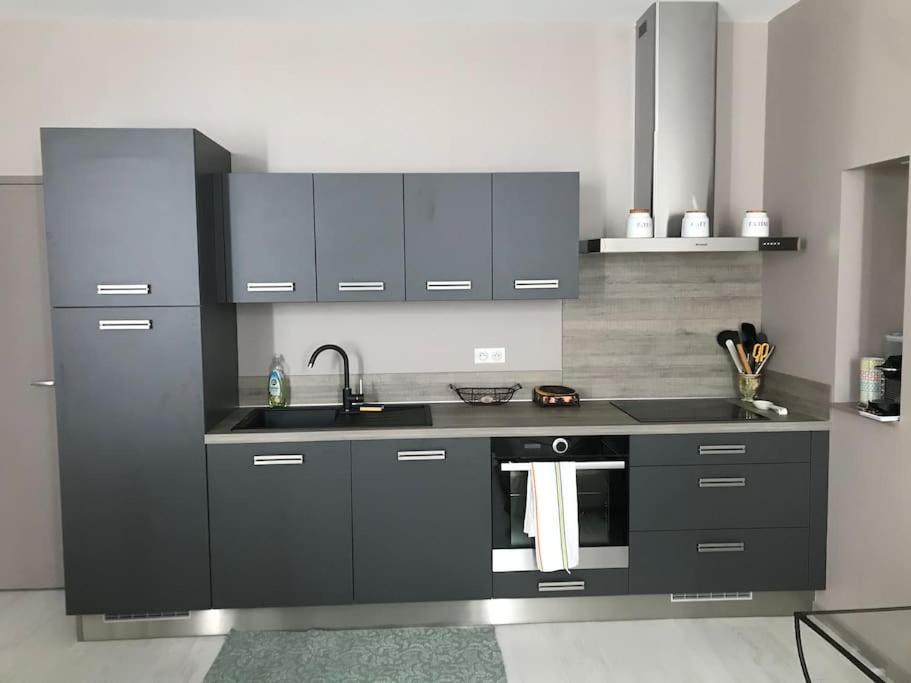 Superbe Appartement Plein Centre Millau Eksteriør bilde